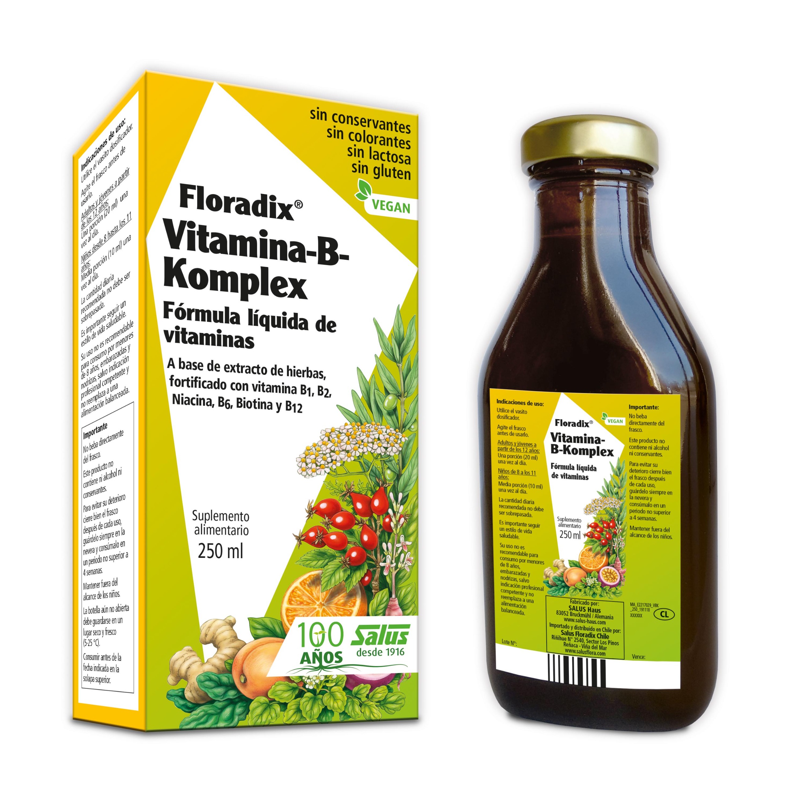 FLORADIX VITAMINA B-KOMPLEX X 250ML