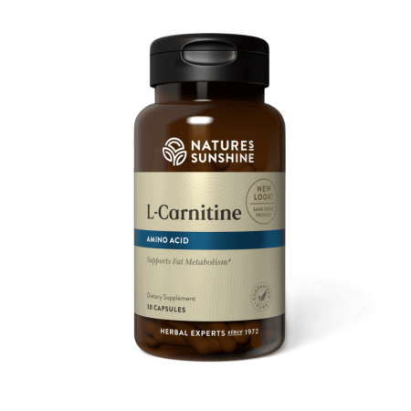 SUN L CARNITINE X 30 CAPSULAS SUNSHINE