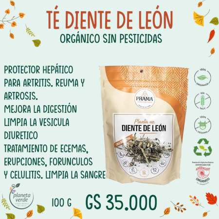 TE COSECHA ORGANICOS DIENTE DE LEON X10BOLSA