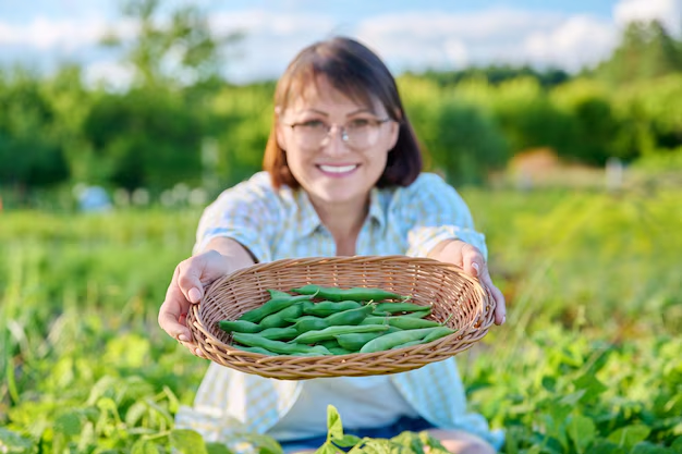 TE COSECHA ORGANICOS SANGUINARIA X10BOLSAS